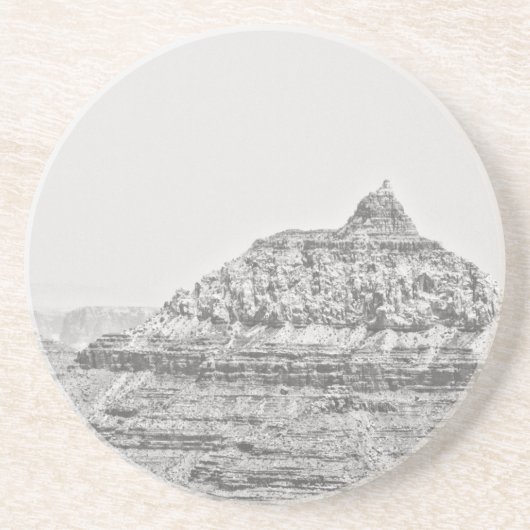 ヴィシュヌテンプル コースター (正面)