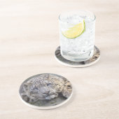 ヴィシュヌユレオパードコースター コースター (側面)