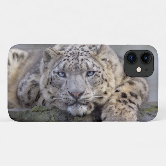 ヴィシュヌ ユキヒョウ iPhone 11 カバー (裏面(横))