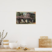 ヴィステリアペルゴラオアシスホテルの景色 ポスター (キッチン)