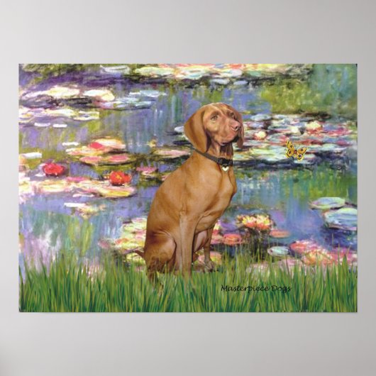 ヴィスラ2 – ヴィツラ ポスター (正面)