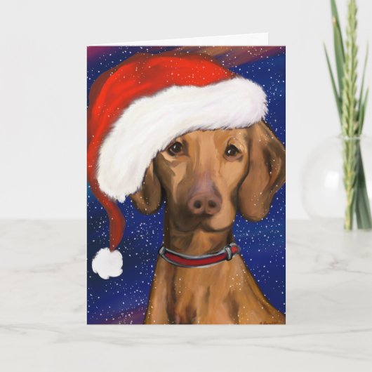 ヴィズラ カード (正面)