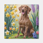 ヴィズラ 犬 春の花 絵画 マグネット (正面)