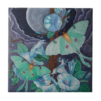 ヴィダデラルナ タイル