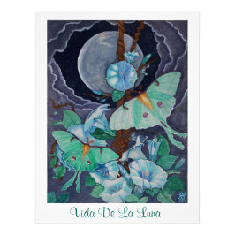 ヴィダデラルナ フォトプリント           