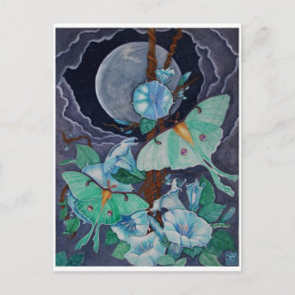 ヴィダデラルナ ポストカード