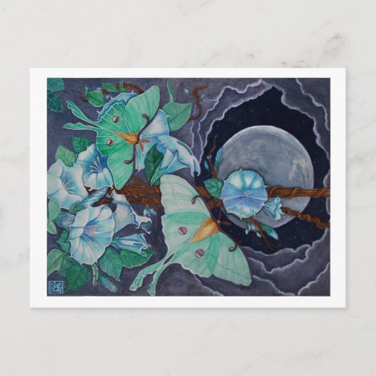 ヴィダデラルナ ポストカード (正面)