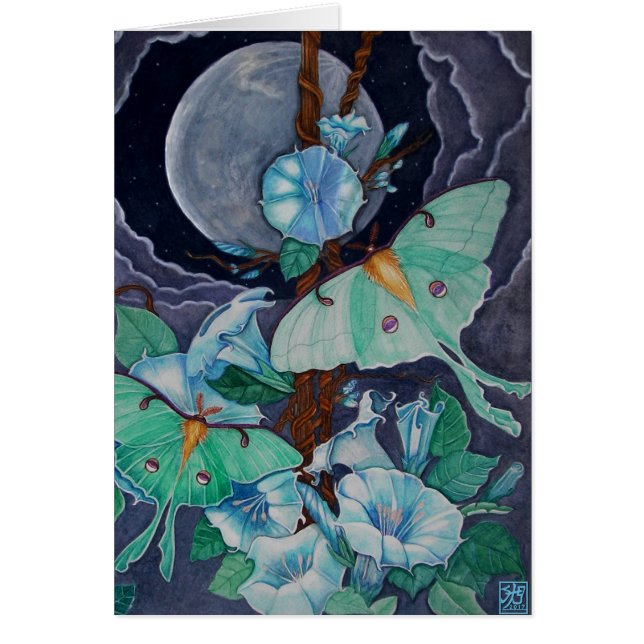 ヴィダ·デ·ラ·ルナ (正面)