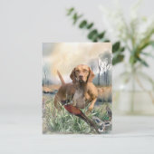 ヴィツラ・アート シーズンポストカード (スタンド正面)