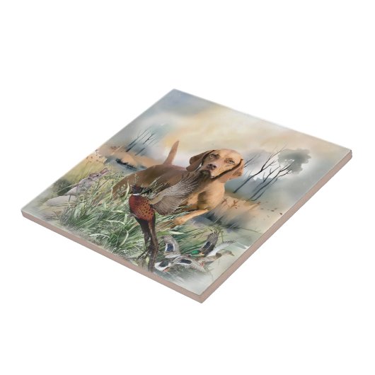 ヴィツラ・アート タイル (側面)