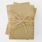 ヴィトルヴィアン・マンバイレオナルド・ダ・ヴィンチ ラッピングペーパーシート (インサイチュ)