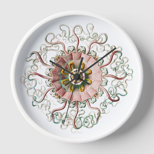 ヴィナッツゲクラゲスケッチウォールクロック 壁時計 (正面)