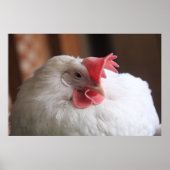 ヴィニー ポスター (正面)