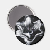 ヴィニー マグネット (正面/裏面)