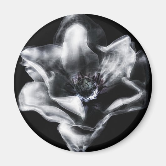 ヴィニー マグネット (正面)