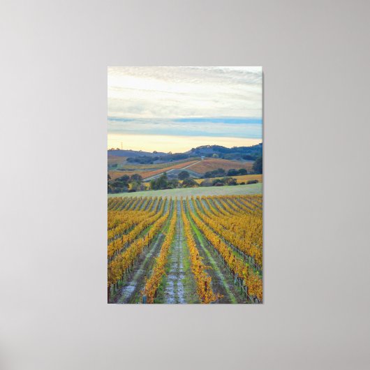 ヴィネヤードアットサンセット キャンバスプリント (正面)