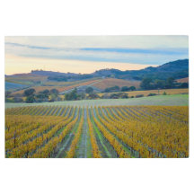 ヴィネヤードアットサンセット