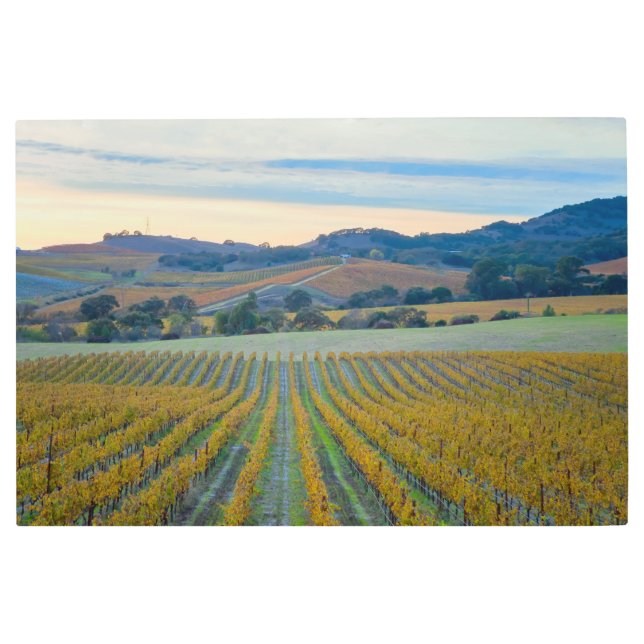 ヴィネヤードアットサンセット メタルプリント (正面)