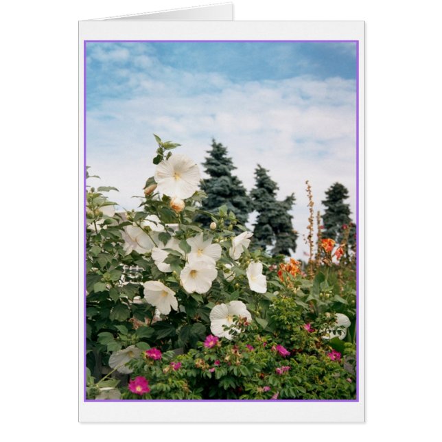 ヴィネヤードガーデンカード (正面)