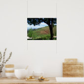 ヴィネヤードプライド ポスター (キッチン)