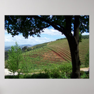 ヴィネヤードプライド ポスター