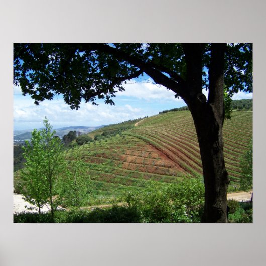 ヴィネヤードプライド ポスター (正面)