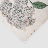 ヴィバーナムボタニカル金ゴールドトンフライ白花 薄葉紙 (詳細)