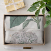 ヴィバーナムボタニカル金ゴールドトンフライ白花 薄葉紙 (ギフト)