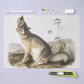 ヴィビパラスキツネ(Vulpes velox)からの迅速な四肢動物 薄葉紙 (クラフト)