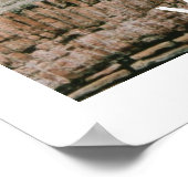 ヴィラアドリアナラスト ポスター (角)