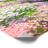 ヴィラインフル開花 ポスター (角)