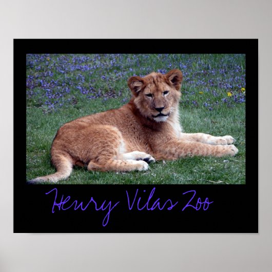 ヴィラズゾーカブ ポスター (正面)