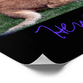 ヴィラズゾーカブ ポスター (角)