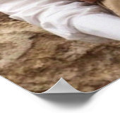 ヴィラネルデザイン ポスター (角)