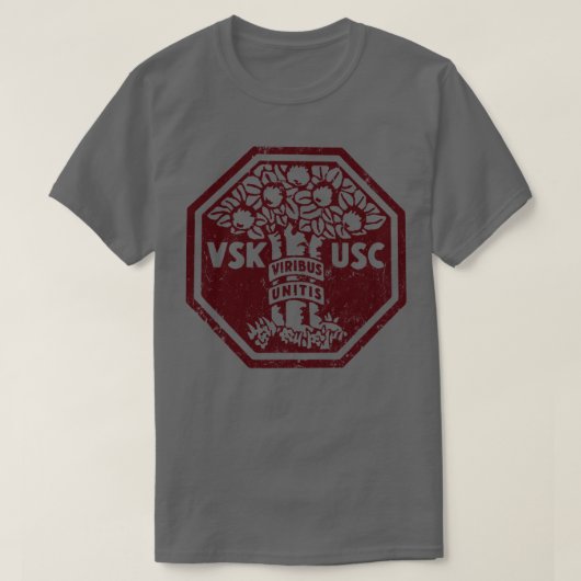 ヴィリビュスユニティス Tシャツ (デザイン正面)