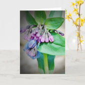 ヴィルギニナブルーベル カード (黄色い花)
