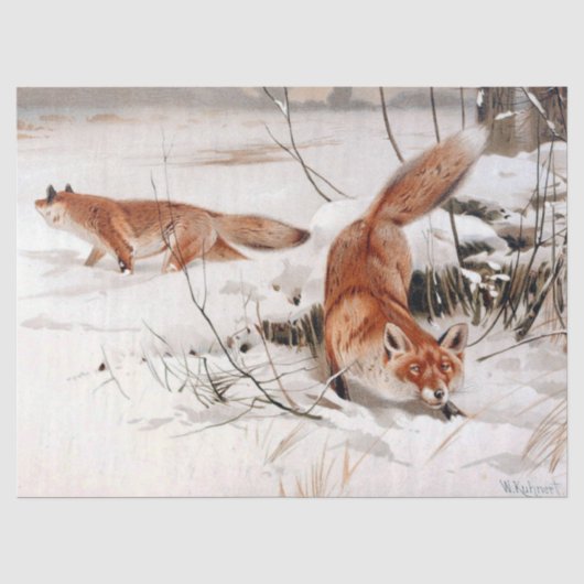 ヴィルヘルム・キューネルトによる冬の雪の中の赤狐 薄葉紙 (正面)