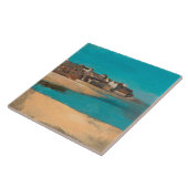 ヴィレッジバイザシーインブリタニーbyオディロン・レドン タイル (側面)