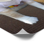 ヴィレッジ猫ちゃん ポスター (角)