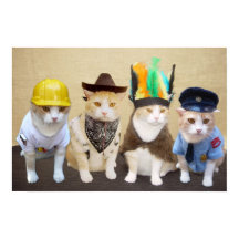 ヴィレッジ猫ちゃん