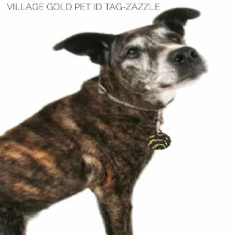 ヴィレッジ金ゴールド ペット ネームタグ