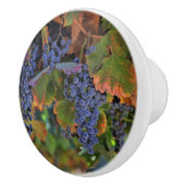 ヴィンかわいらしヤード・ワインの国ノブとプル セラミックノブ (右)