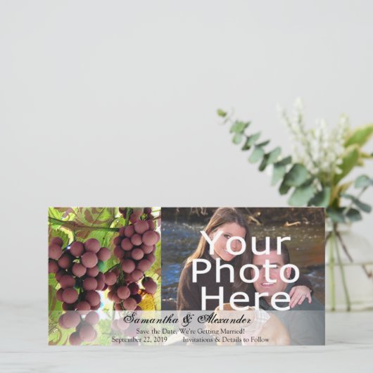 ヴィンエレガントヤード紫/緑ぶどう結婚ズ セーブザデート (スタンド正面)