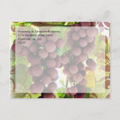 ヴィンエレガントヤード紫/緑ブドウ保存日 案内ポストカード (裏面)