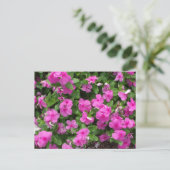 ヴィンカタイタン花はがき ポストカード (スタンド正面)