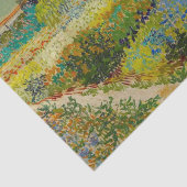 ヴィンセントヴァンゴッホガーデンアットアレス 薄葉紙 (詳細)