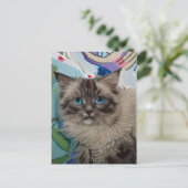 ヴィンセント猫ゴッホ葉書 ポストカード (スタンド正面)
