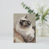 ヴィンセント猫ゴッホ葉書 ポストカード (スタンド正面)