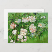 ヴィンセント・ファン・ゴッホの絵画、まだピンク色のバラ。 ポストカード (正面/裏面)