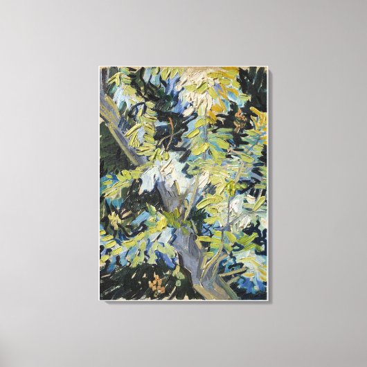 ヴィンセント・ヴァン・ゴッホの開花アカシアの枝(189) キャンバスプリント (正面)